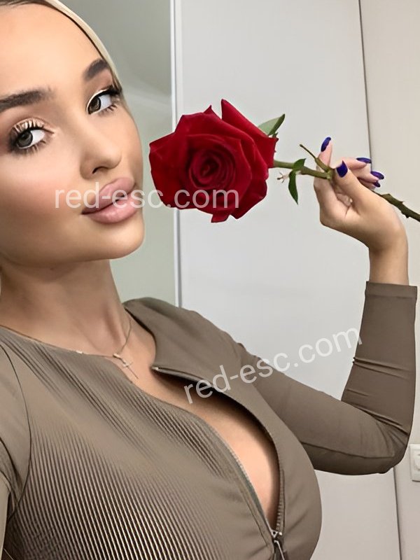 Алиса — Ирбит